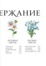 Цветы в искусстве. Воспевание красоты — изображение 5