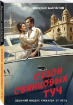 Сезон свинцовых туч — изображение 2