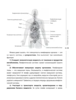 Лимфатический самомассаж. Практики, которые избавят вас от отечности, чувства тяжести и нормализуют пищеварение — изображение 13