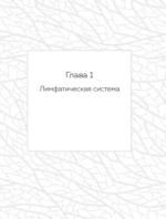 Лимфатический самомассаж. Практики, которые избавят вас от отечности, чувства тяжести и нормализуют пищеварение — изображение 10