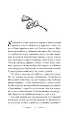 Хроники хозяйки отеля. На страже мира — изображение 4