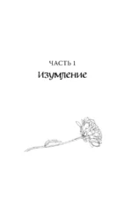 Две хризантемы — изображение 6