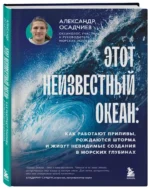 Этот неизвестный океан: как работают приливы, рождаются шторма и живут невидимые создания в морских глубинах — изображение 2