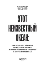 Этот неизвестный океан: как работают приливы, рождаются шторма и живут невидимые создания в морских глубинах — изображение 5