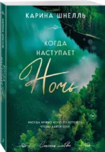 Когда наступает ночь — изображение 2