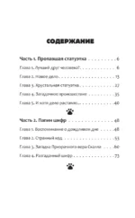 Дело о пропавшей статуэтке — изображение 4