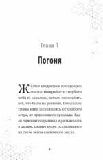 Путешествие в Майнкрафт. Книга 9. Дело о ночной краже — изображение 6