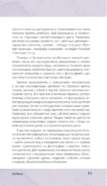 Лечебные травы. Иллюстрированный справочник-определитель — изображение 6