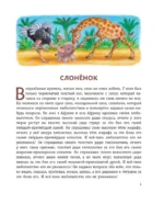 Рикки-Тикки-Тави и другие сказки — изображение 4