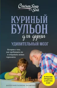 Куриный бульон для души. Удивительный мозг. Истории о том, как пробуждать ум и открывать новые горизонты. Лиз Непорент, Мари Доктор Пасински