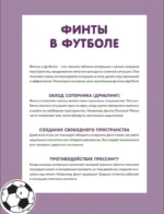 Футбольные финты. Эластико, радуга, финт Зидана, ножницы, рабона — изображение 5