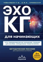 Эхокардиография для начинающих. Суть гемодинамических нарушений, позиции для анализа, определение тяжести порока. Петр Чомахидзе