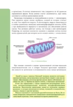 Анатомия для школьников. Пособие для учеников химико-биологических классов и абитуриентов естественно-научных направлений — изображение 12