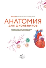 Анатомия для школьников. Пособие для учеников химико-биологических классов и абитуриентов естественно-научных направлений — изображение 5