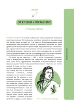Анатомия для школьников. Пособие для учеников химико-биологических классов и абитуриентов естественно-научных направлений — изображение 9