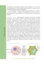 Анатомия для школьников. Пособие для учеников химико-биологических классов и абитуриентов естественно-научных направлений — изображение 10