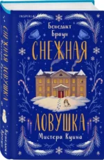 Снежная ловушка мистера Куина — изображение 2