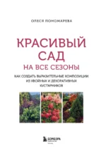 Красивый сад на все сезоны. Как создать выразительные композиции из хвойных и декоративных кустарников — изображение 5