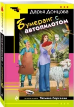 Бумеранг с автопилотом — изображение 2