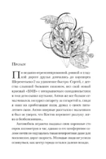 Улыбка черного кота — изображение 6