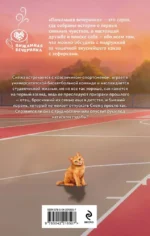 Трехсекундная зона — изображение 3