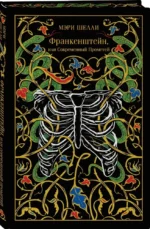 Франкенштейн, или Современный Прометей (подарочное издание) — изображение 2
