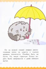 ПушМяу. Книги для первого чтения. Дождливое настроение — изображение 5