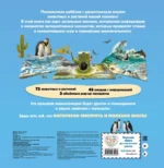 Животные и растения. Самая красивая энциклопедия с окошками, клапанами и 3D-панорамами — изображение 3