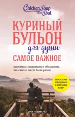 Куриный бульон для души. Самое важное. Эми Ньюмарк