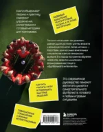Развитие игрового интеллекта. Современные подходы к обучению детей игровому мышлению в футболе — изображение 3