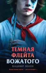Темная флейта вожатого. Владимир Волков