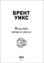 Немезида ночного ангела — изображение 4