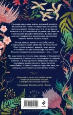 Тайна трех зеркал — изображение 3