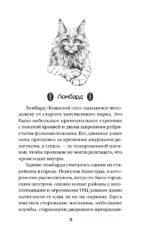 Кошачий глаз в волшебный час — изображение 6
