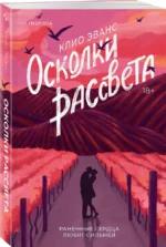 Осколки рассвета — изображение 2