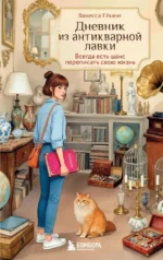Дневник из антикварной лавки. Всегда есть шанс переписать свою жизнь. Ванесса Гёкинг