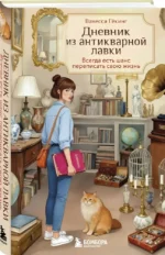 Дневник из антикварной лавки. Всегда есть шанс переписать свою жизнь — изображение 2