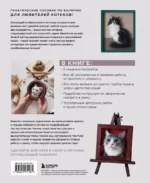 КОТИКИ. Портретное валяние из шерсти — изображение 3