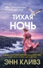 Тихая ночь. Энн Кливз