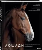 Лошади. Портреты, вдохновленные Рембрандтом. Эксклюзивный фотоальбом — изображение 2