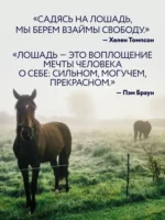 Лошади. Портреты, вдохновленные Рембрандтом. Эксклюзивный фотоальбом — изображение 4