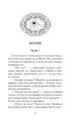 Ловец разбитых отражений — изображение 4