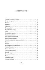 Ревизия платяного шкафа. Ироничные рассказы о личной жизни и других стихийных бедствиях — изображение 4