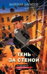 Тень за стеной. Валерий Шарапов