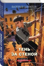 Тень за стеной — изображение 2