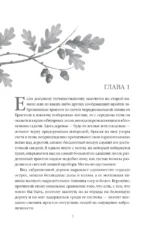 В краю лесов — изображение 4