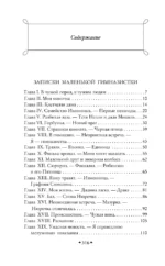 Записки маленькой гимназистки. Записки институтки — изображение 4