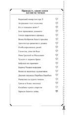Зеркало бедного зайца — изображение 5