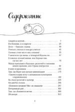 Турция изнутри. Как на самом деле живут в стране контрастов на стыке религий и культур? (покет) — изображение 6