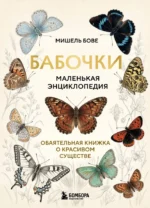 Бабочки! Маленькая энциклопедия. Обаятельная книжка о красивом существе. Мишель Бове